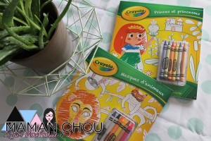 activités fevrier (26)