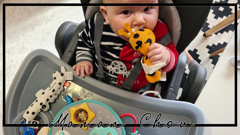 Test Chaise Haute Bebe Confort Minla Maman Chou