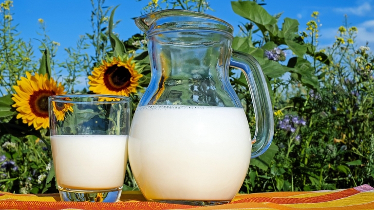 Lait infantile Les Petits Culottés : origine française et transparence